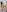 annita_lopez I WILL BE YOUR GODDESS 😈 Pic 4