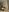 DollyPixel For my fans Pic 3