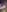Luna_Kitanna ✨️22:22✨️ (+ flash sex) Pic