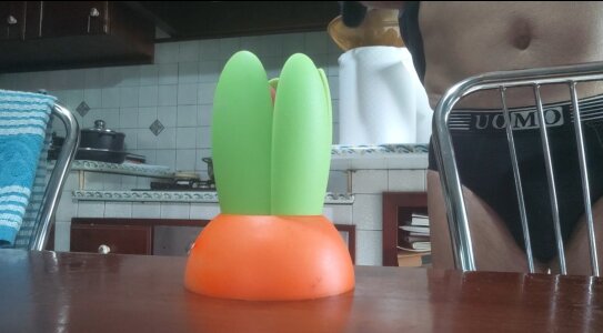 jhonschen's Cazzo in fiore Sex Photo 3