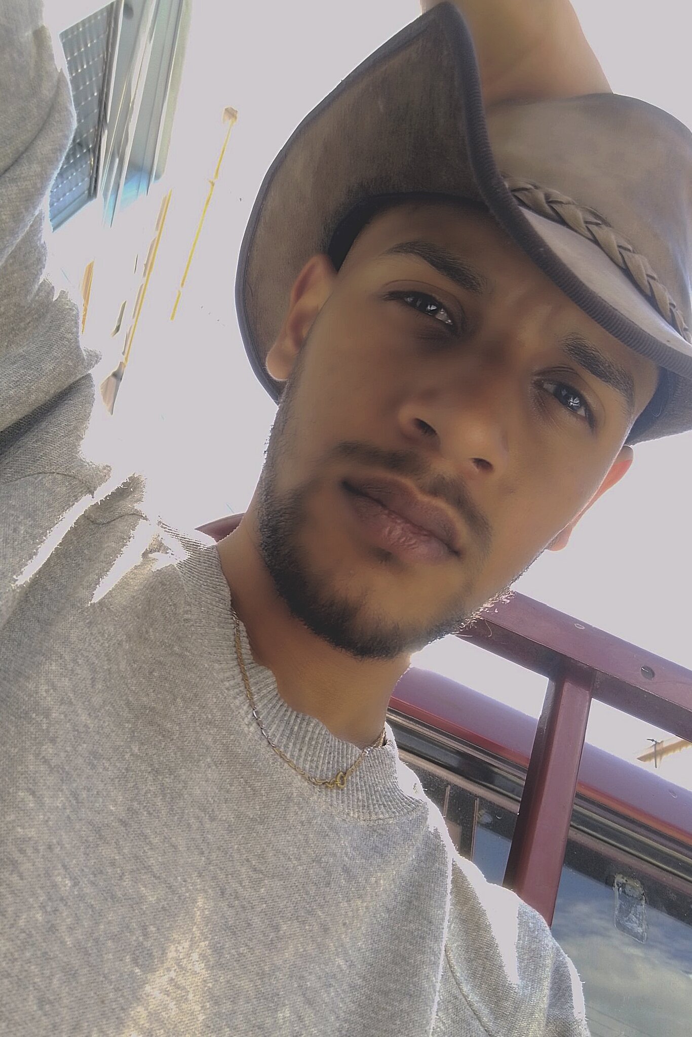 DebuggedLawn: Public ( фото)