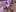 Amber_Luna Pussy pics Foto 