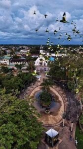 🫒🐒Next destination:Amazonas Leticia. de love_amor_ Foto 2