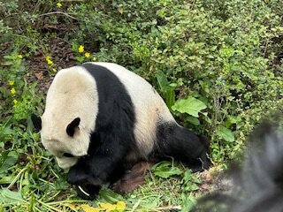 -yaya-777 Public รูป  5