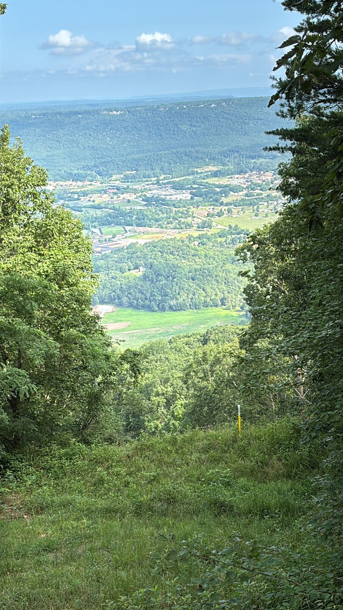 Andy_gray 熱門圖片 6786