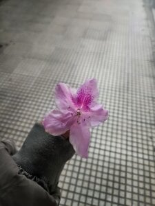 Ariagal Me❤️‍🔥 Pic 5