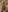 Nia_Blondie_X izgat a piros? 사진 3