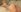 Chloe_lov_ Shall we make a home video? Pic