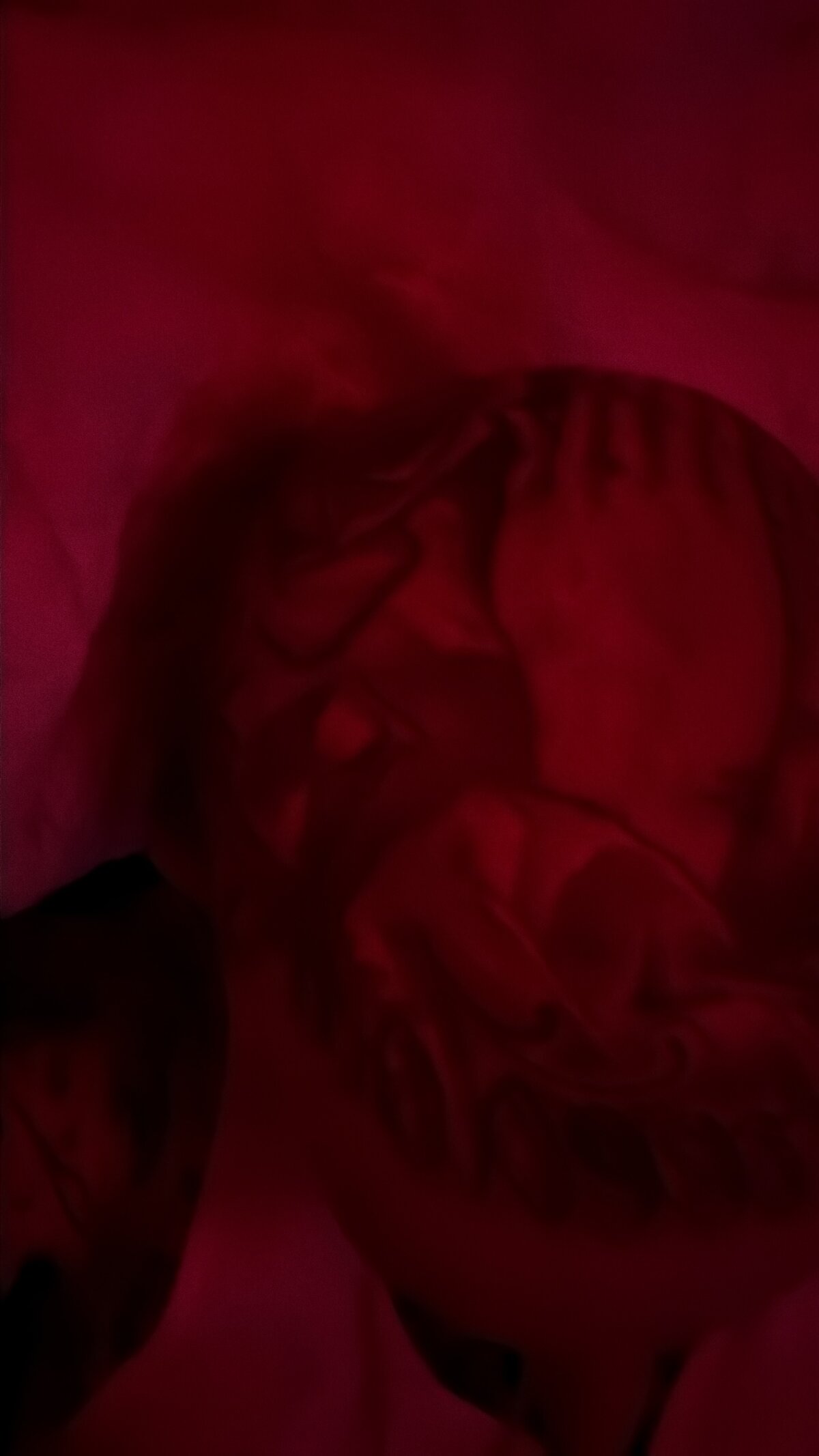 Трендове зображення  6889 tattooed4you