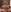 GangBangKitty DoublePenetration, Gangbang, Blowjob Photo 8