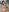 MilaSecrettWow, my ass is so incredible, and it's even better in doggy style, will you check it out?图片