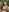 navywildxxx Free bundle 1 brown lingerie Pic 3