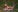 JessyRey Naked in the field Pic