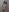 RoxyRayneXO Nudes Pic 3