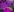 Darina_Adams Neon Pic 6
