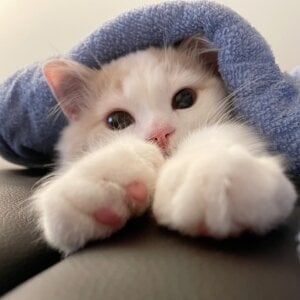 Yuu__k Public 사진 5