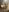 IconaDidi50 Nude Pics from My Life. No Filters照片 4