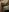 Arisha_Milss My naked body Pic 3