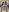 catherinecan69 Bodystocking ppv Pic 5