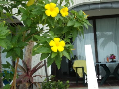 mercuryice: Public ( фото)