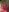 Milky_hairy_mommy Very creamy lush out of wet pussy Photo 2