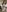 HOTWIFEVenessa69 STEAMY HOTEL SEX WITH YOU Pic 4