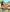 HarmonyCouple08 My body, on the beach in public Pic 4