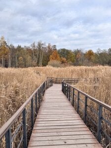 AlexFH Just walking along the eco trail зображення 4