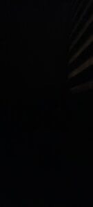 ValiantSemitic: Public ( фото)