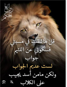 Virginass2000 Public Pic