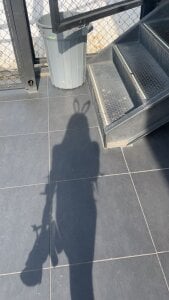 Ririblonde1 Ebony Bunny Pic 3