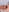 _Rapunzel_ Lake BJ on real dick Foto 4