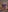 Madison_Wilson Your player 🩵 Foto 3