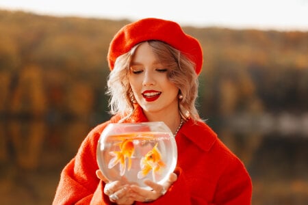 LiliLinn Goldfish Εικόνα 6