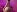 tokioray Sasha topless in transparent black panties, slides her panties off and shows her hairy pussy Pic 4