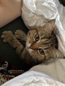 verhorny18 Public Pic 4