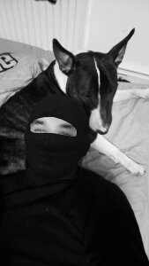 PatMat3693 Public Pic 4