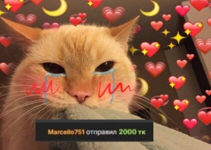 MaryNixon_: My KINGS 👑 ( 3 фото)