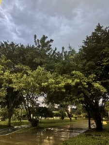 Carlymonroee_ Welcome to my life Pic 2