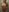Leamonroe__ FULL NAKED 🥵 Pic 5