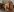 Whitney_Svonn Shibari 사진