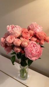 DarylBraddy beautiful evening Foto 3