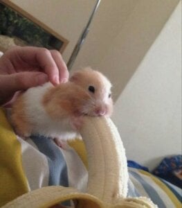 😈 de KatunLive Foto