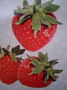 moreninho564 Public Pic 5