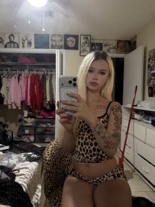 Terribletabby Public Foto 2