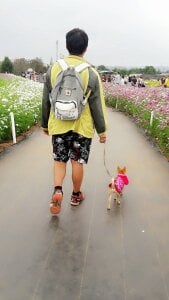 chuck00095 Public 圖片 4