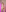 CelestialFoxxx ❤️ FEBRUARY CLUB - 50 Shades of red ❤️ Sweet red lingerie + nude Pic 3
