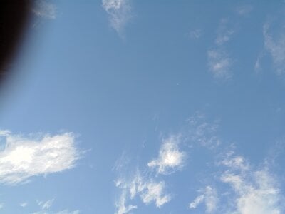 317076 David  5. fénykép