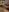 miacanela_xo kullanıcısının Dildo in pussy albümü -  fotoğraf