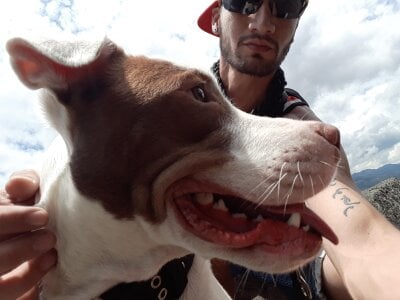 iamxandertv Public Pic 9